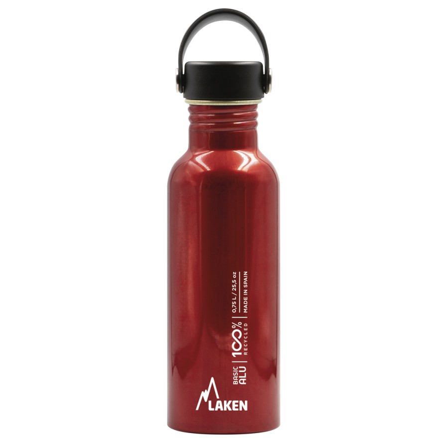 OASIS 25oz WIDE-MOUTH ALUMINUM BOTTLE WITH SCREW CAP & HANDLE