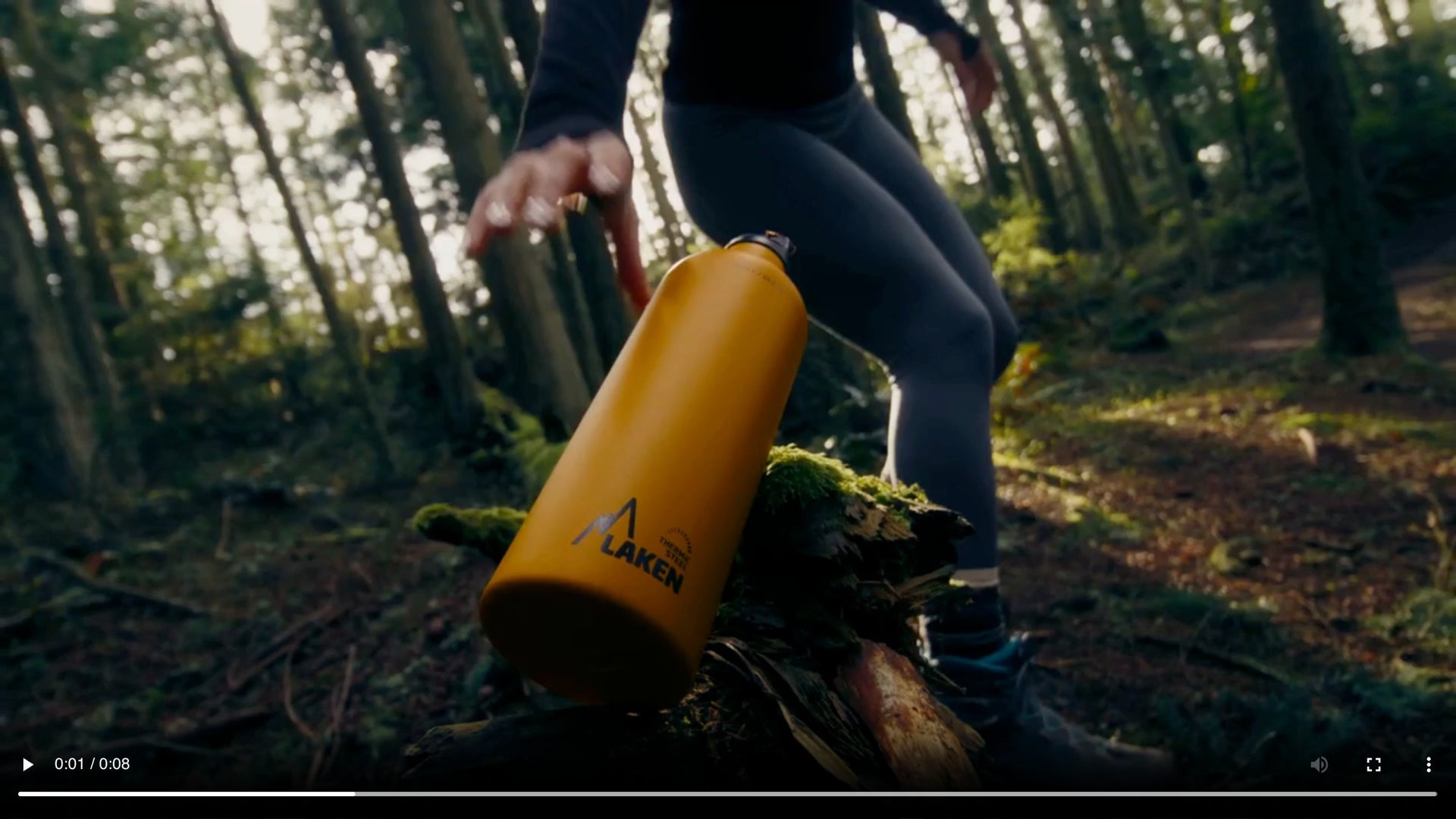 Video preview