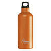 FUTURA STAINLESS STEEL THERMO BOTTLE - NARROW MOUTH 17oz