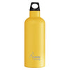 FUTURA STAINLESS STEEL THERMO BOTTLE - NARROW MOUTH 17oz